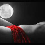 Wife by Moonlight #1 (Red Lace), 2013